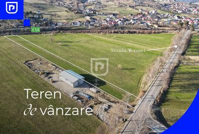 Teren de vanzare Voronet (4061mp) | Gura Humorului | Bucovina - 5