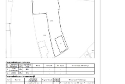 Teren 729 mp si casa Caracal zona Parc - 2