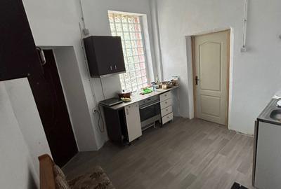 Apartament in vilă 3 camere, 125mp teren in folosinta (L18) - Nerva Traian - 9