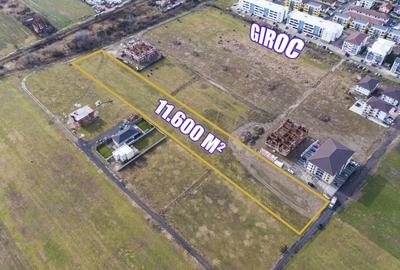 Teren arabil intravilan pentru PUZ 11.600mp | Giroc - 6
