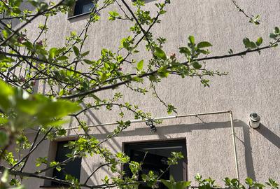 Vilă P+1 4 camere Teren 300 mp  Bragadiru – Strada Safirului - 9