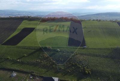 De vânzare parcele teren Fânațe | 3 loturi | 550 mp + drum privat - 5