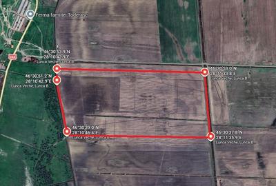 50 Ha Teren Compact – Lunca Banului (Husi) – Irigabil & Potențial Energetic - 4