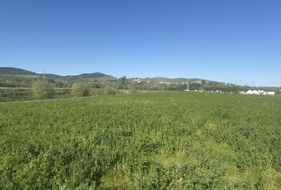 Teren intravilan de vânzare | 5800 MP – Zona Orizont - 1