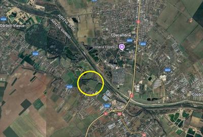 Proprietate deosebita Adunatii Copaceni, teren: 54.141 mp, conac, comision 0% - 4