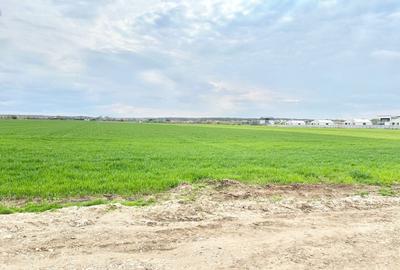 Teren intravilan 4657 mp, deschidere 30 ml, Ostratu, strada Lotusului - 6