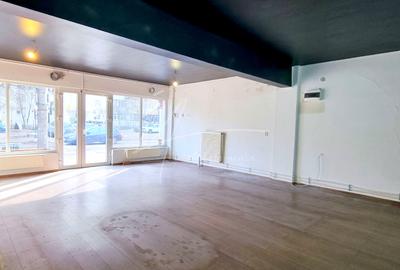 SPATIU COMERCIAL STRADAL 108 mp STR. MAICA DOMNULUI NR. 41 / B-DUL LACUL TEI! - 1