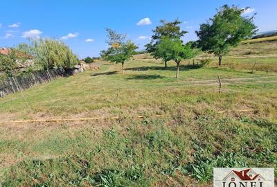 Teren intravilan de vanzare in Galda de Jos- Oiejdea - 4