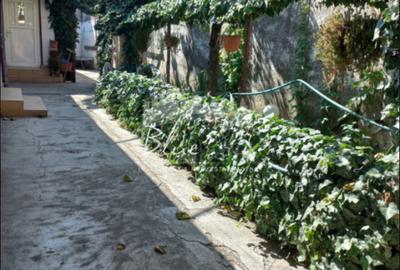 Casa batraneasca cu teren de 435mp cu utilitati si deschidere 14 m- Coiciu - 3
