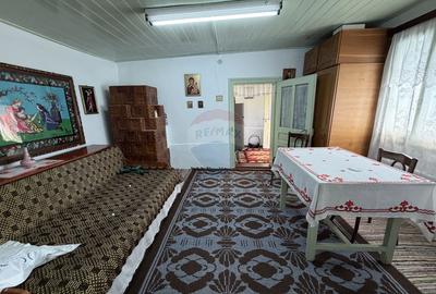 Casă cu teren Nanesti - 11