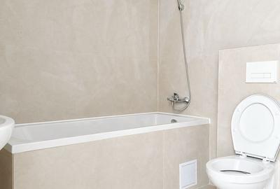 Apartament 2 camere Cal. Medves - 3