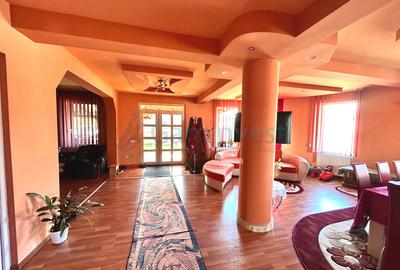 Casă individuală cu 7 camere în Nufărul