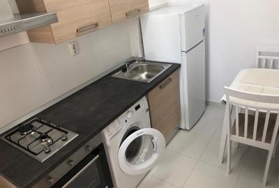 Garsoniera Grozavesti  orhideelor 14 - 2