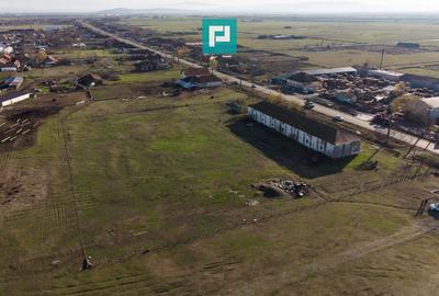 Hală industrială cu teren generos în Zărand, Arad - 54