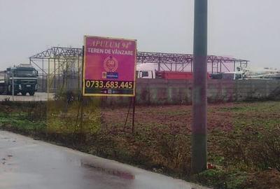 Dragomiresti-Vale, lângă Șoseaua de Centură, pretabil hale, productie - 2