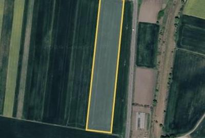 Teren agricol extravilan de 28700 mp, în Tămășeu