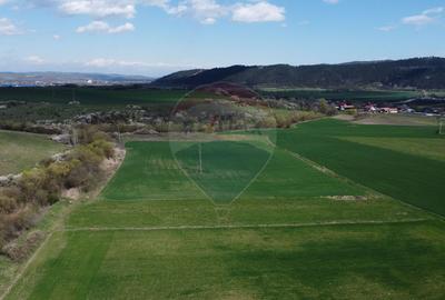 Teren cu potential industrial Luna de Jos, Dabaca - 18