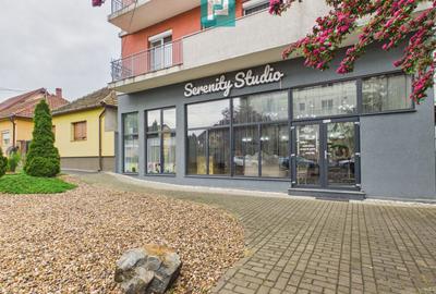 Spațiu comercial  | Parter Bermo, Micălaca – Arad - 1