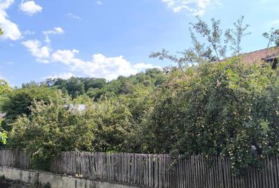 Casa spatioasa 8 camere+cladire auxiliara pretabil locuinta sau afacere+magazin - 2