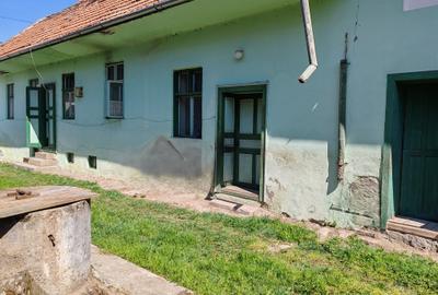 Casa 3 camere libera la vanzare TARLUNGENI - 15
