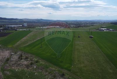 Teren cu potential industrial Luna de Jos, Dabaca - 19