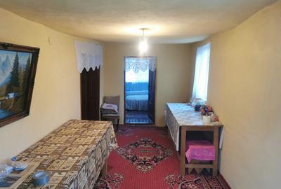 De vanzare casa in Argetoaia cu teren 7.000 mp - 7