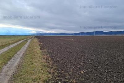 Teren extravilan 2,9 HA,intre Cristian si Vulcan - 6