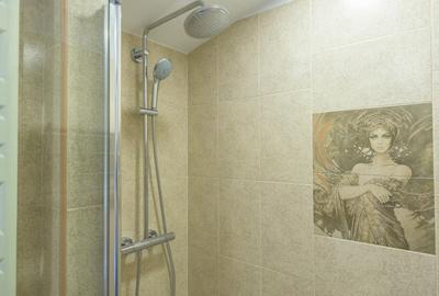 Aristocrația interbelică și rafinamentul contemporan:Mansarda Ermil Pangratti - 5