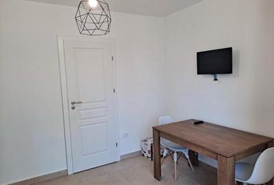 TOMIS III 2 CAMERE 500 EURO TERMEN LUNG AT - 7