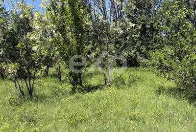 Teren 2.200 mp lângă pădure, la 11 km de Pitești – ideal pentru casă și relaxare - 8