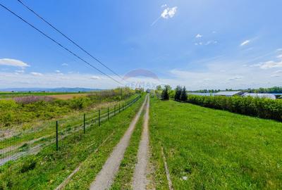 DOMENIU DE LUX DE VANZARE IN APA NORD - 20