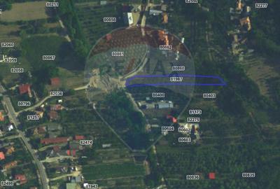 Teren intravilan 1.736 mp Chițești- Bogați (AG), deschidere la asfalt - 10