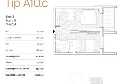 PRIMA ASTERA | FAZA II I Studio tip A10 - 11
