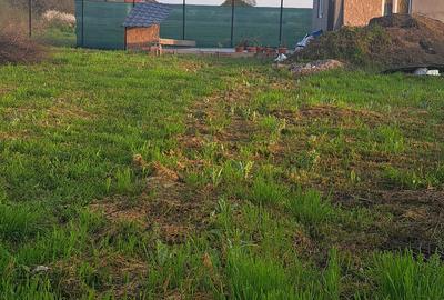 De vanzare Teren intravilan Jebel, 604mp, Fs-20,59mp, la strada asfaltata - 1