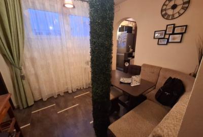 Drumul Taberei - Raul Doamnei - Apartament 2 camere -  Modern - 13