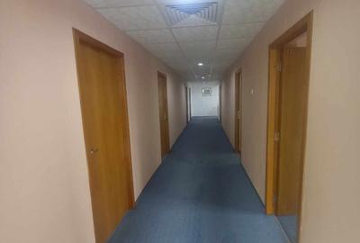 Casa de vanzare la 5 min de Centru cu trei nivele (D+P+1) si teren de 4300mp - 26