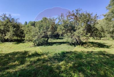 Teren Construcții intravilan de 3718 mp, în Remetea Chioarului