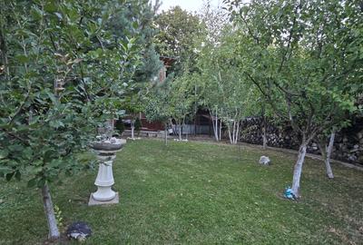 Moreni , Dambovita , vanzare proprietate -casa si teren - 20