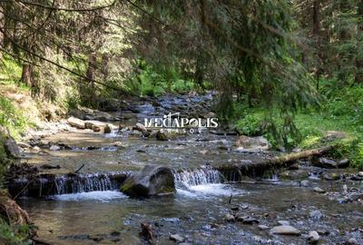 Teren intravilan | Moieciu de Sus | 12307 | PUZ - 5