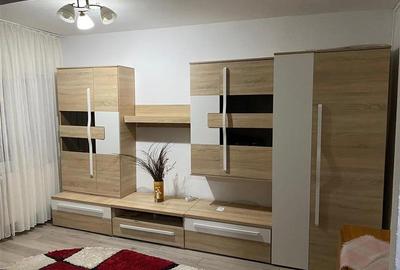 Caransebes, 2 Cam. Dec., 2 Balcoane, Mobilat + Utilat, Balta Sarata - 5