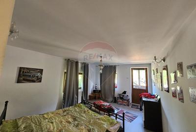 Casă solidă din cărămidă, mobilată, garaj, teren generos – Tarcău - 44