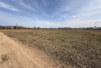 TEREN INTRAVILAN DE VANZARE, 587 MP ZONA AREX, ALBA IULIA - 2