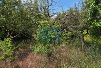 Teren de vanzare zona industriala - 1