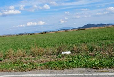 Codlea, 10000 mp, teren industrial, 15 e/mp - 1