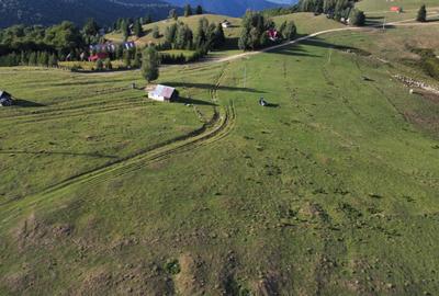 Teren de vanzare in Paltinis - 1