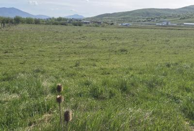 Teren intavilan parcela de 1456mp, Unirea zona Aerodrom - 2