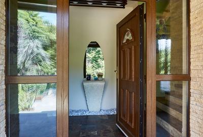 Reprezentare exclusivă · Casa dintre magnolii, Făget · 1.343 mp lângă pădure - 12