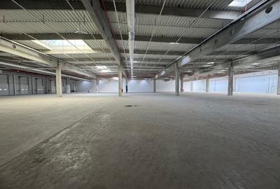 Hală industrială de închiriat Arad ZI West Vecinatate A1, acces TIR - 4