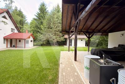 Vila de poveste din Valea Avrigului de vanzare - 20