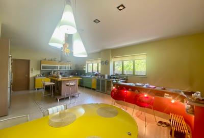 Vila de lux lângă Curtea Domnească – investiție premium Târgoviște, teren 1.700 - 22